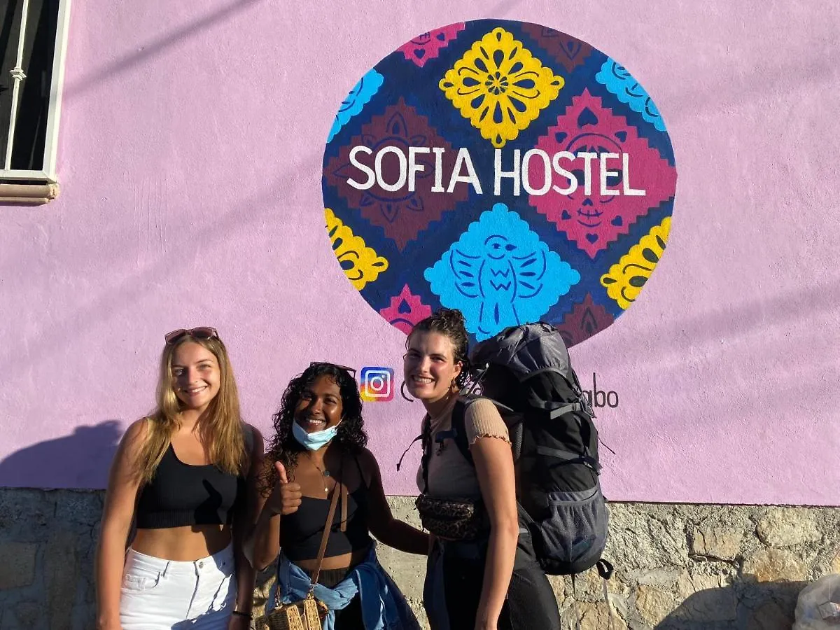 Sofia Hostel Cabo Cabo San Lucas Mexico