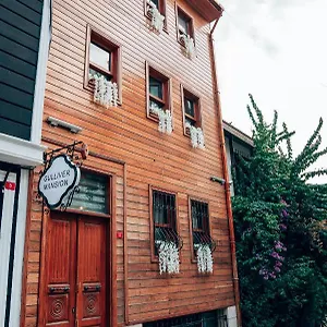 ** Hotel Gulliver Mansion Turquie