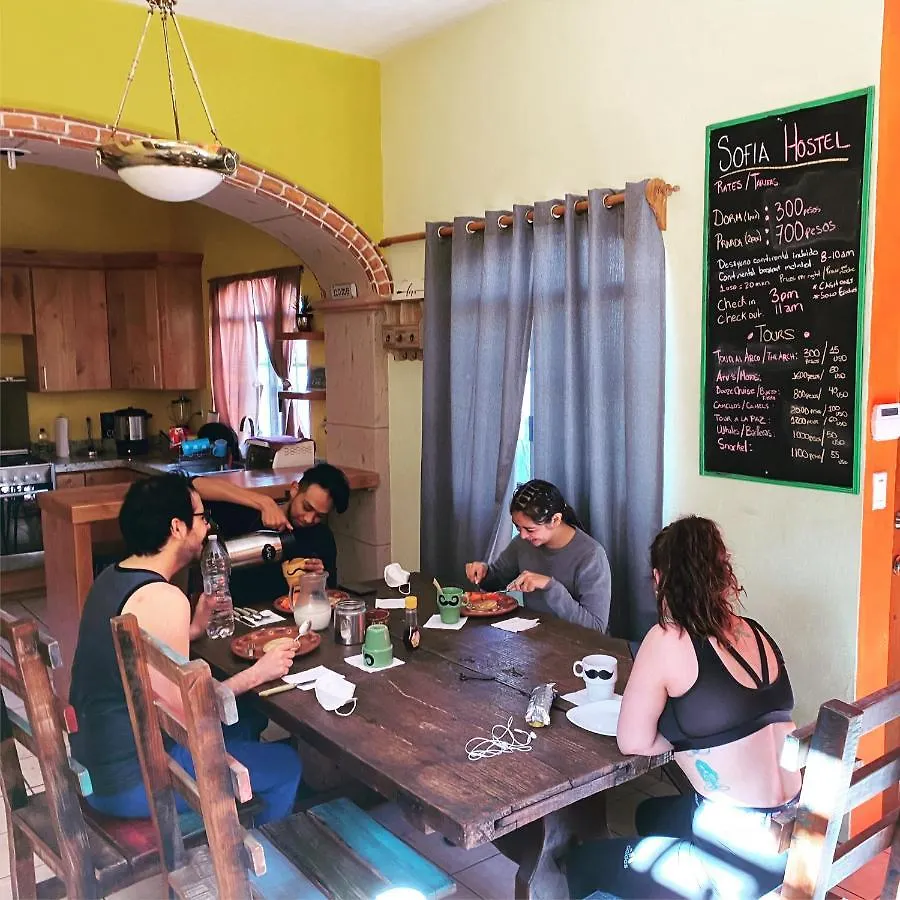 Sofia Hostel Cabo Cabo San Lucas
